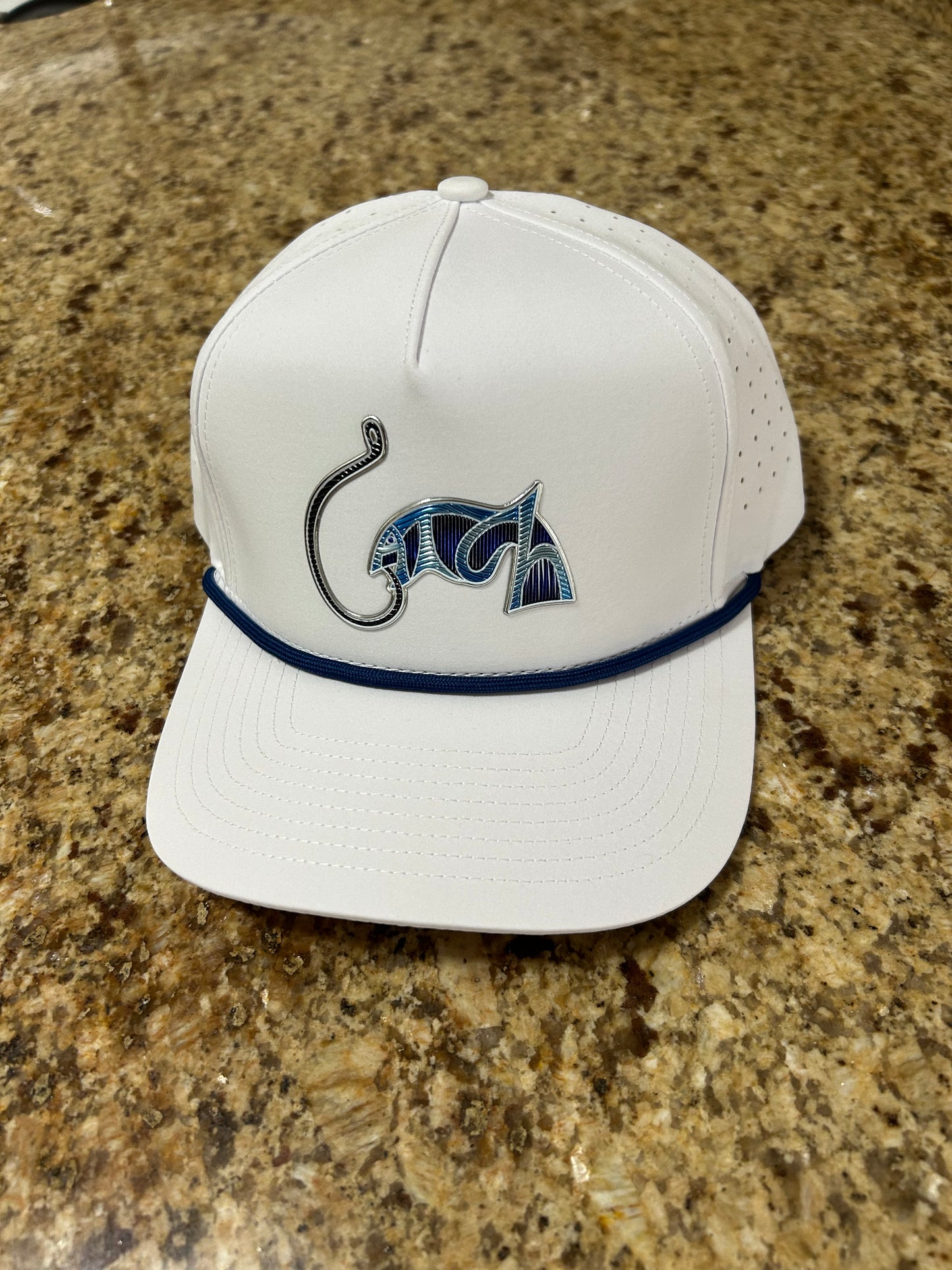 Go Bolts Catch Hat